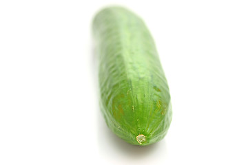 Image showing Cucumber