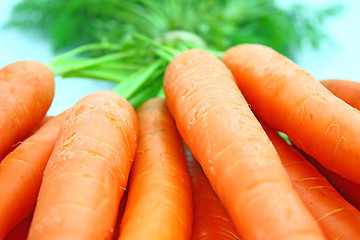 Image showing Carrots