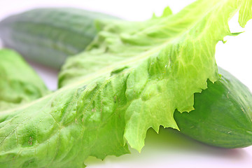 Image showing Vegetable