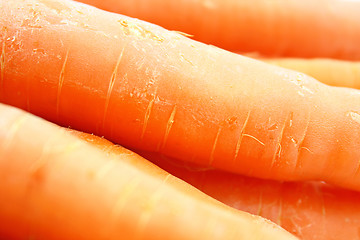 Image showing Carrots