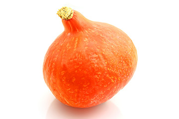 Image showing Pumpkin