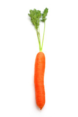 Image showing Carrots