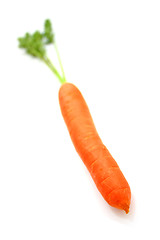 Image showing Carrots