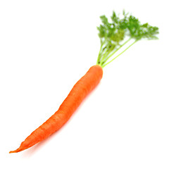 Image showing Carrots