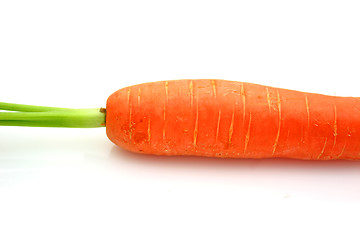 Image showing Carrots