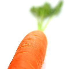 Image showing Carrots