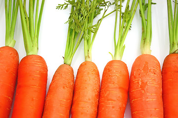 Image showing Carrots