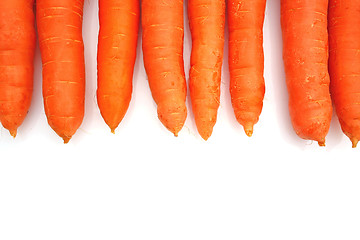 Image showing Carrots