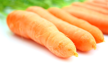 Image showing Carrots