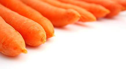 Image showing Carrots