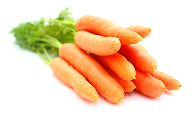 Image showing Carrots