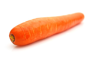 Image showing Carrots