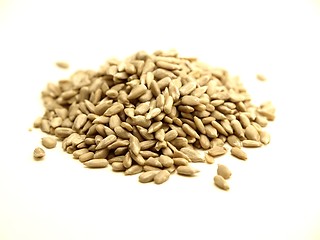 Image showing Sunflower Seeds 