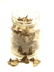 Image showing Dried Mushrooms 