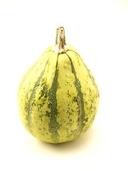 Image showing Pumpkin 