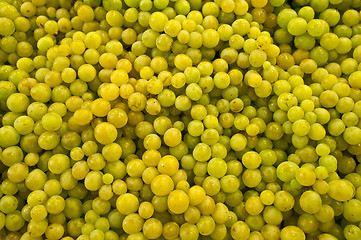 Image showing Green grapes.