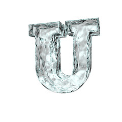 Image showing frozen leter U