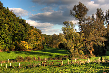 Image showing fences and pasture