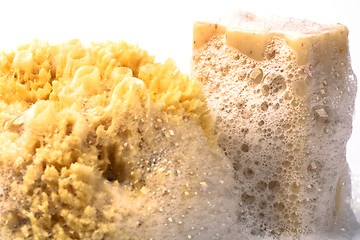 Image showing soap and natural sponge