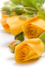 Image showing yellow flowers