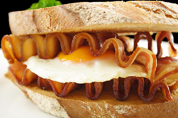 Image showing Bacon And Egg Sandwich