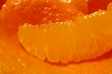 Image showing orange