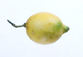 Image showing lemon