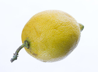 Image showing lemon