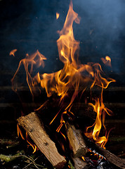 Image showing fire flames