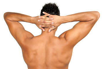 Image showing Muscular male back