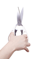 Image showing isolated scissors