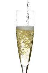 Image showing Champagne glass celebration