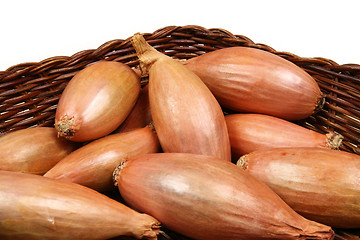 Image showing Shallot onions