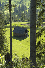 Image showing Abandoned farmhouse.