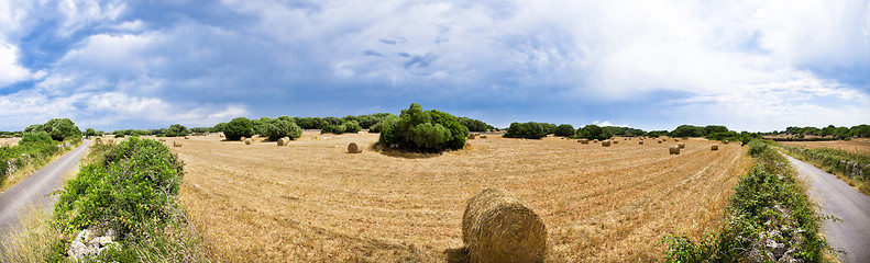 Image showing Harvest fields