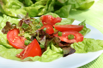 Image showing Salad.