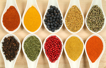Image showing Colorful spices