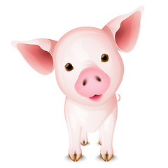 Image showing Little pig