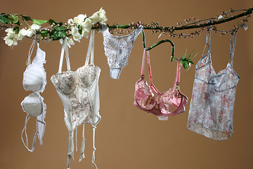 Image showing Females undies