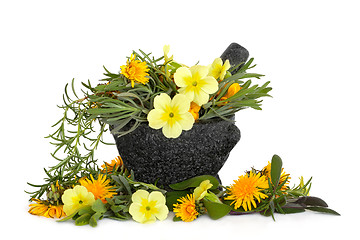 Image showing Herb and Flower Beauty