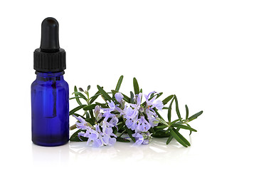 Image showing Rosemary Herb Essence and Flowers