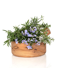 Image showing Rosemary and Thyme Herbs