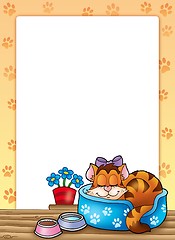 Image showing Frame with cute sleeping cat
