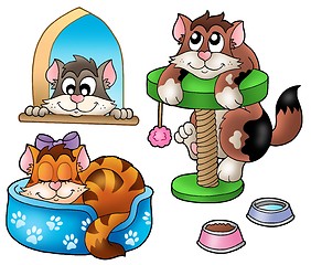 Image showing Cute cats collection