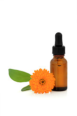 Image showing Marigold Essence