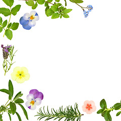 Image showing Flower and Herb Leaf Border