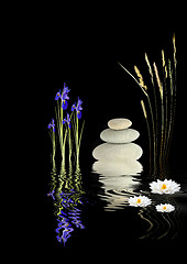 Image showing Zen Garden Fantasy