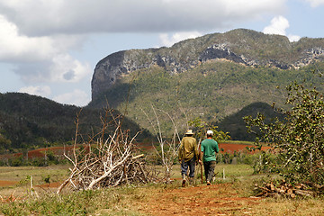 Image showing Two farmers walking in a Vinales countryside in Cuba