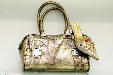 Image showing Shoes and a handbag