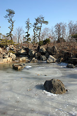 Image showing Frozen pond